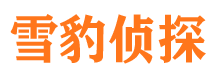 会东寻人公司